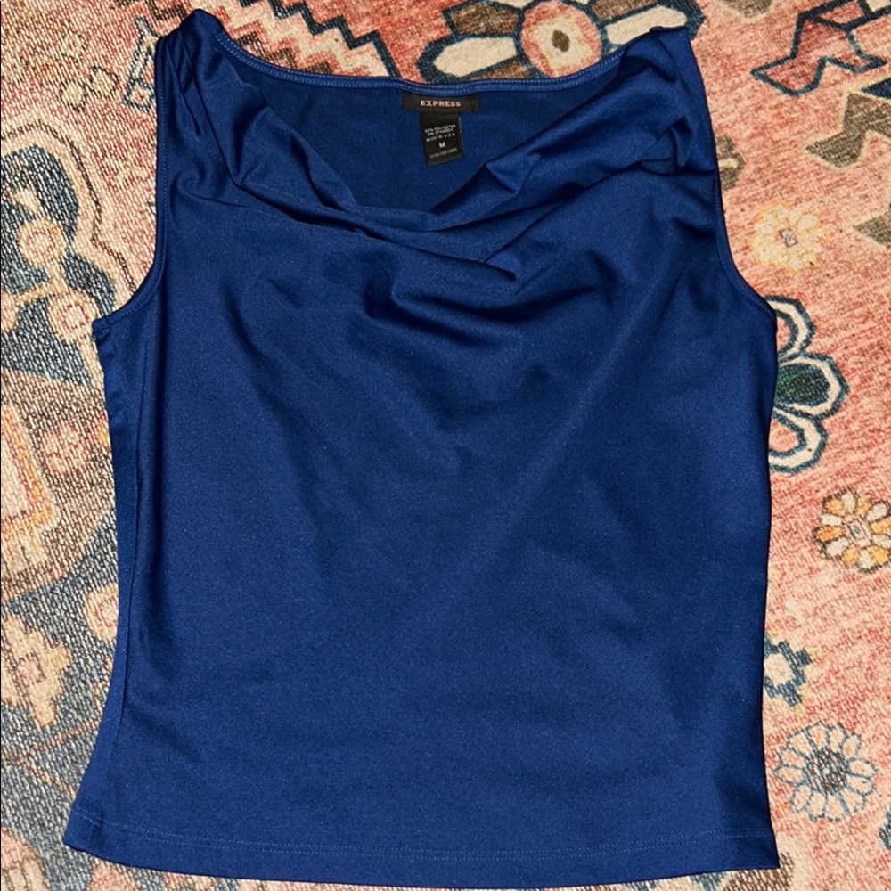 Express Blue Fitted Sleeveless Tank Top